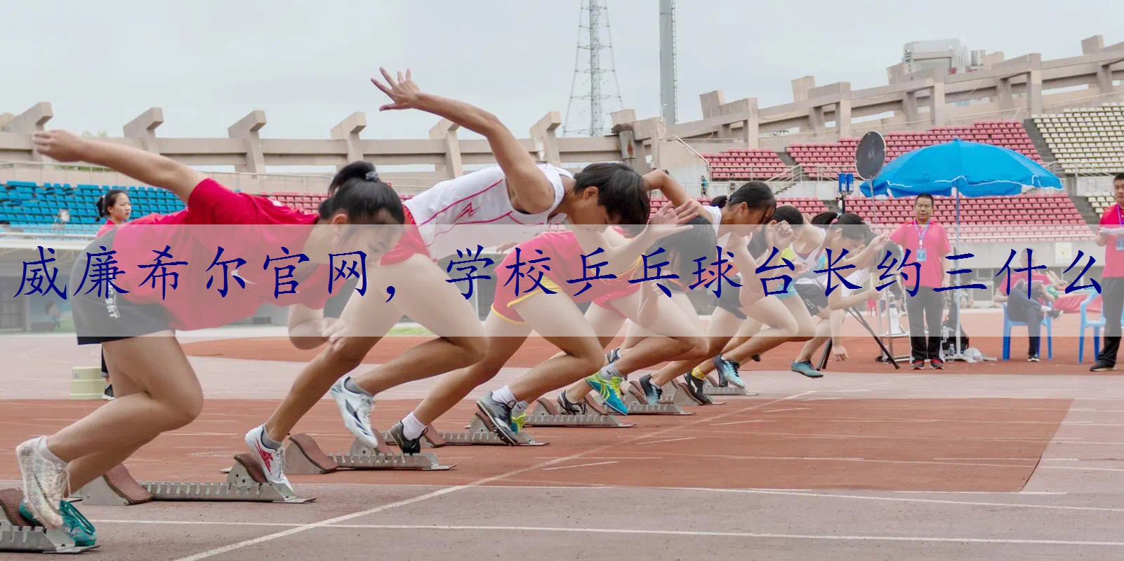 学校乒乓球台长约三什么