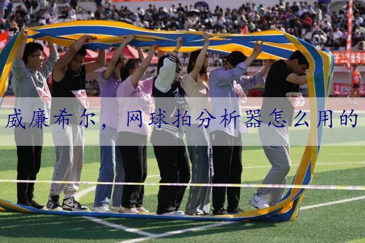网球拍分析器怎么用的