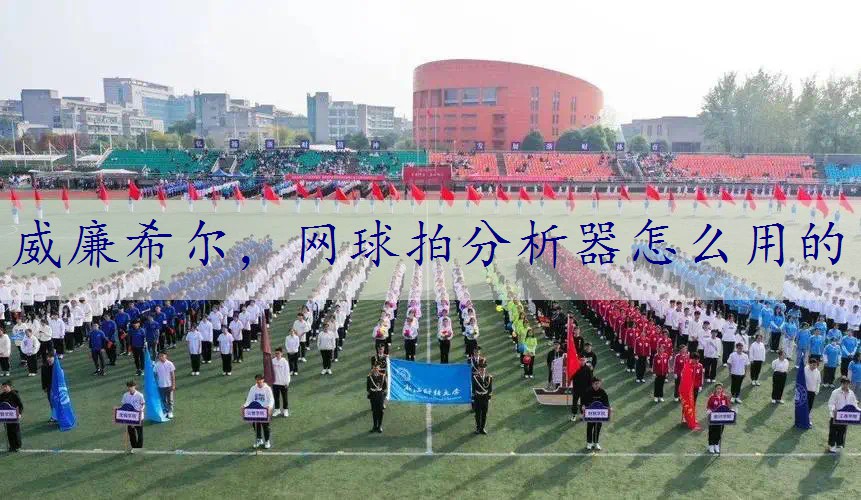 网球拍分析器怎么用的