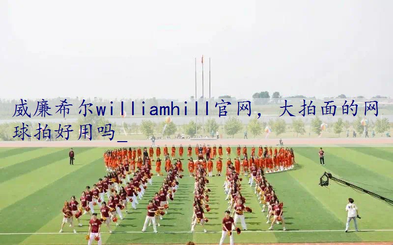 大拍面的网球拍好用吗_