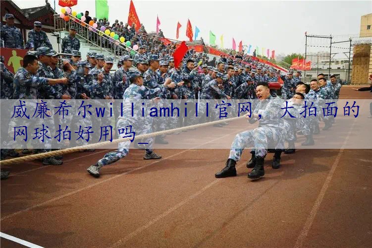 大拍面的网球拍好用吗_