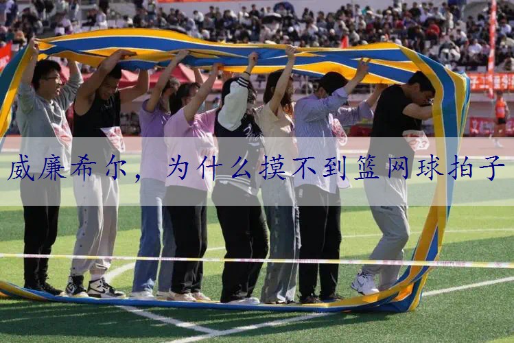 为什么摸不到篮网球拍子