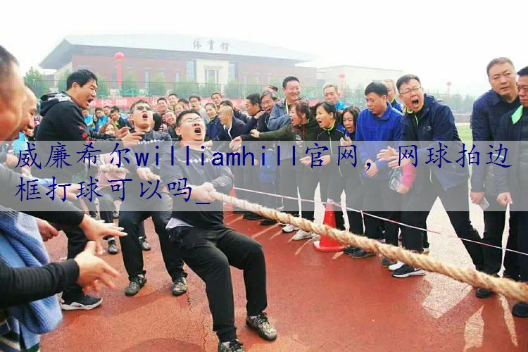 网球拍边框打球可以吗_