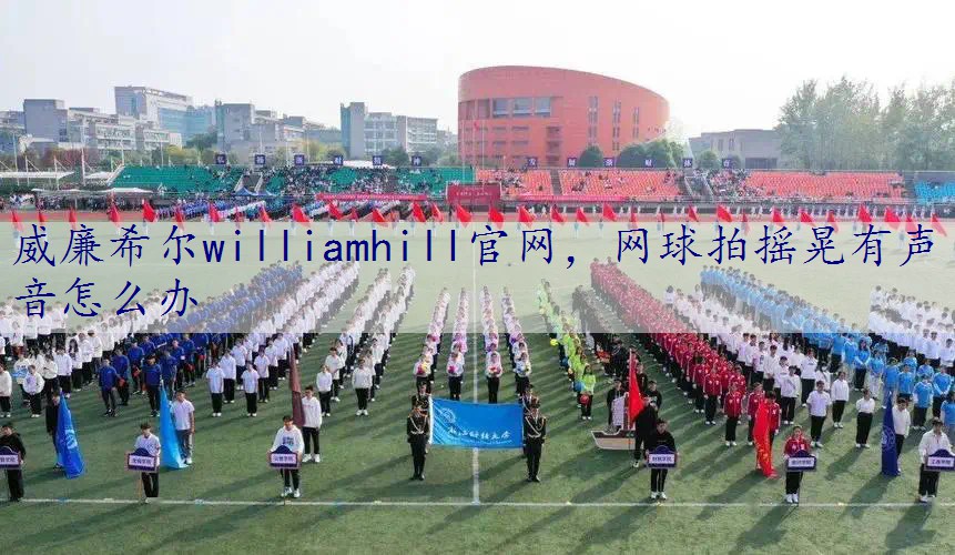 网球拍摇晃有声音怎么办