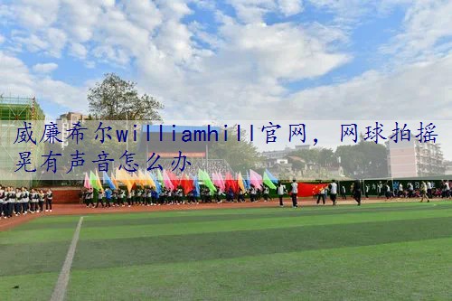 网球拍摇晃有声音怎么办