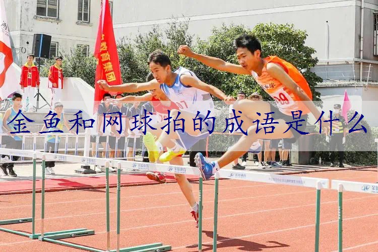 金鱼和网球拍的成语是什么