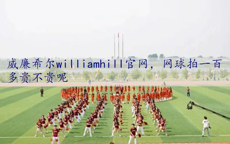 网球拍一百多贵不贵呢
