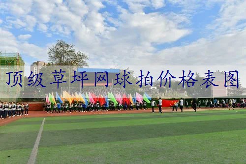 顶级草坪网球拍价格表图