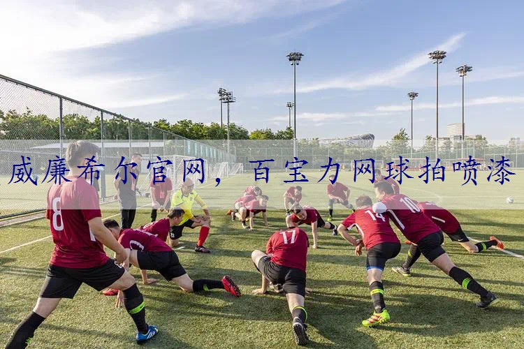 百宝力网球拍喷漆