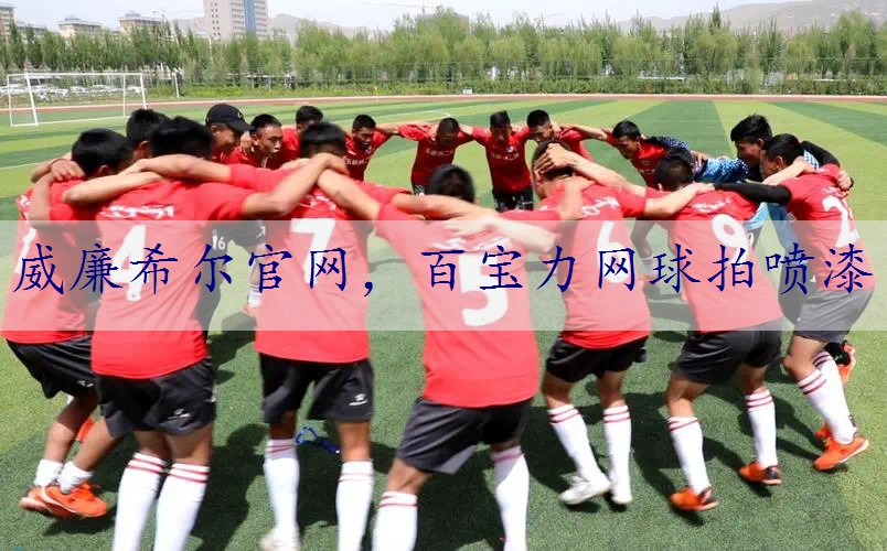 百宝力网球拍喷漆