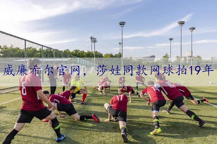莎娃同款网球拍19年