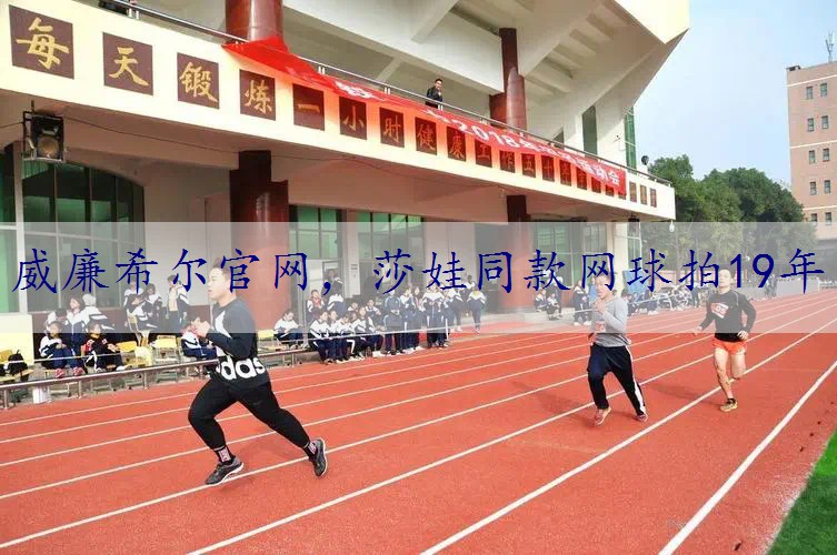 莎娃同款网球拍19年