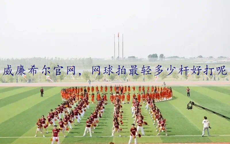 网球拍最轻多少杆好打呢