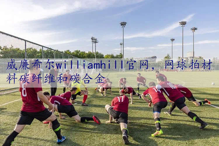 网球拍材料碳纤维和碳合金