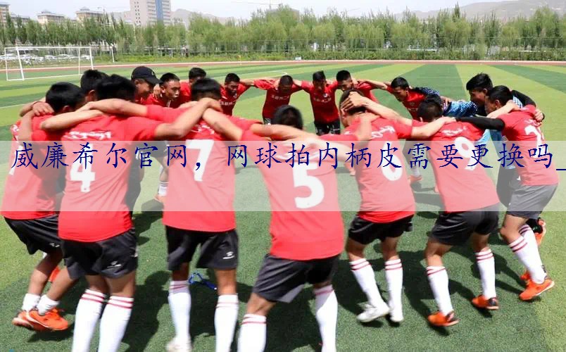 网球拍内柄皮需要更换吗_