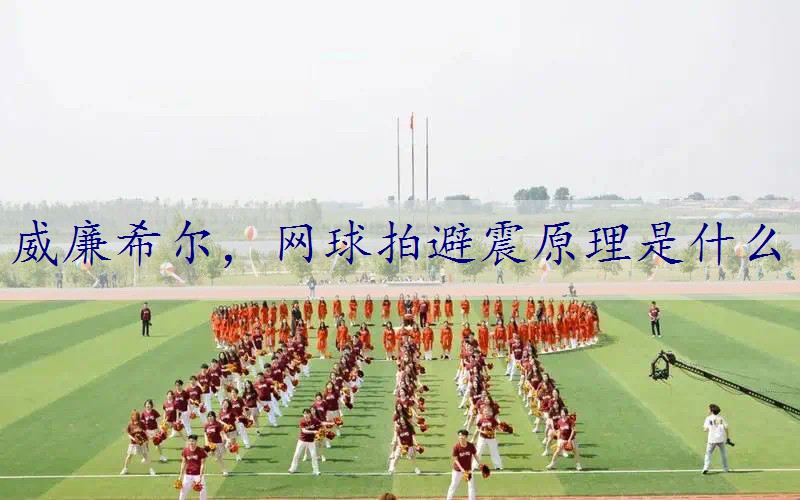 网球拍避震原理是什么