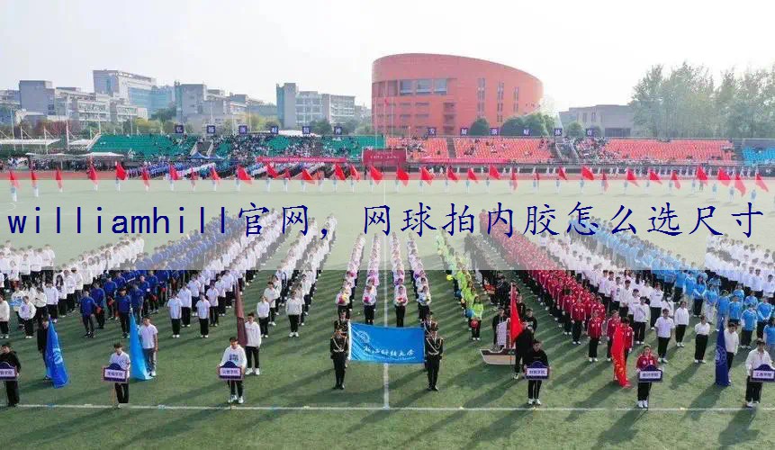 网球拍内胶怎么选尺寸
