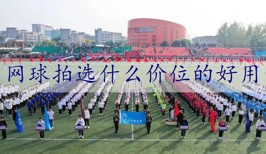 网球拍选什么价位的好用