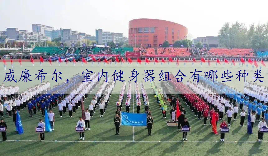 室内健身器组合有哪些种类