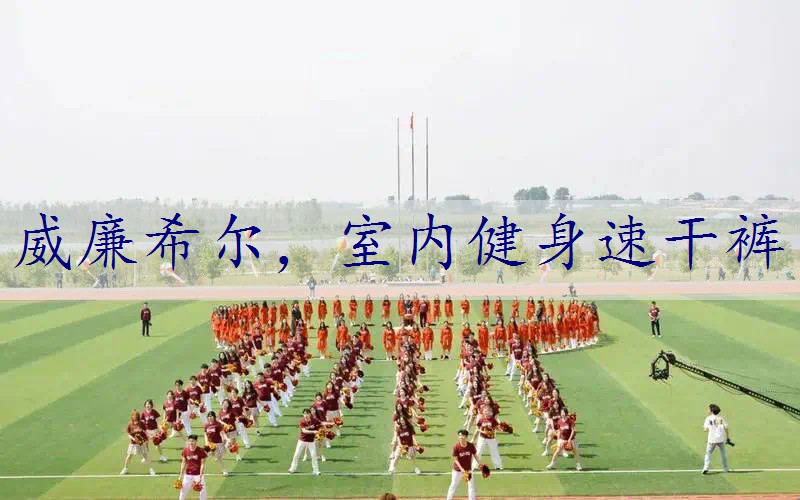 室内健身速干裤