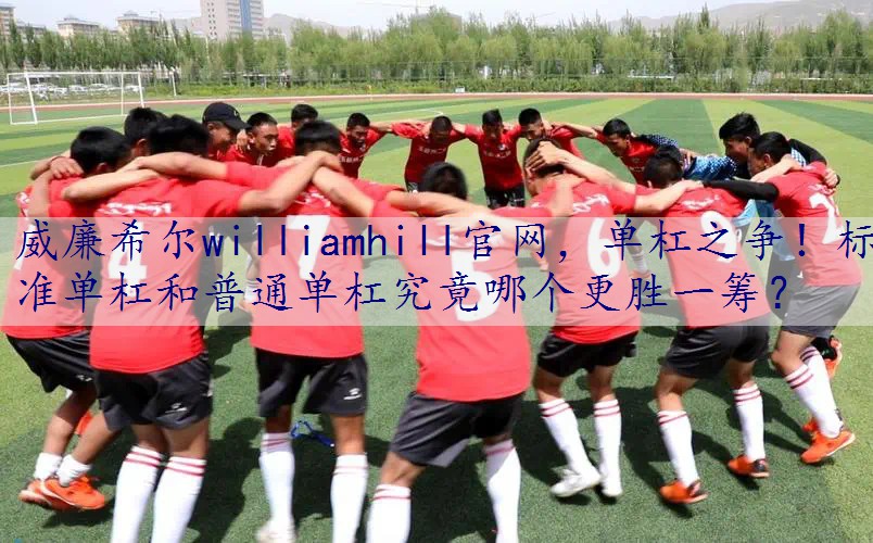 单杠之争！标准单杠和普通单杠究竟哪个更胜一筹？