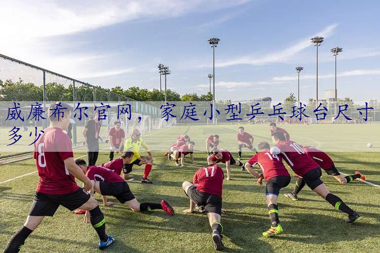 家庭小型乒乓球台尺寸多少